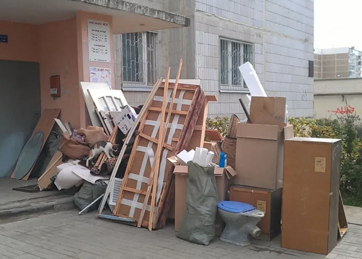 Профессиональный вывоз мусора из квартиры в Новошахтинске в октябре