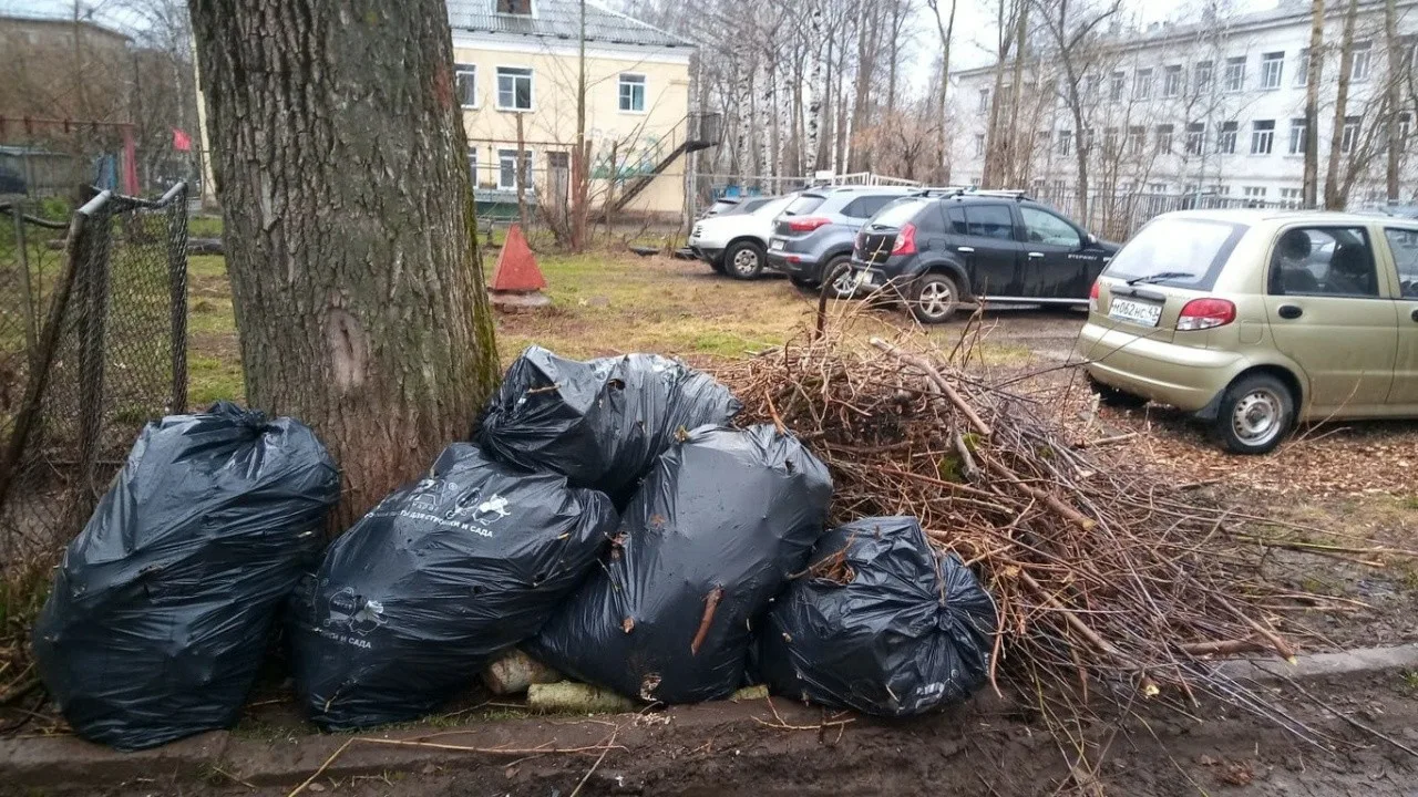 Вывоз мусора после субботника в Новошахтинске от ПроМусор – уборка и утилизация отходов от 2448 руб