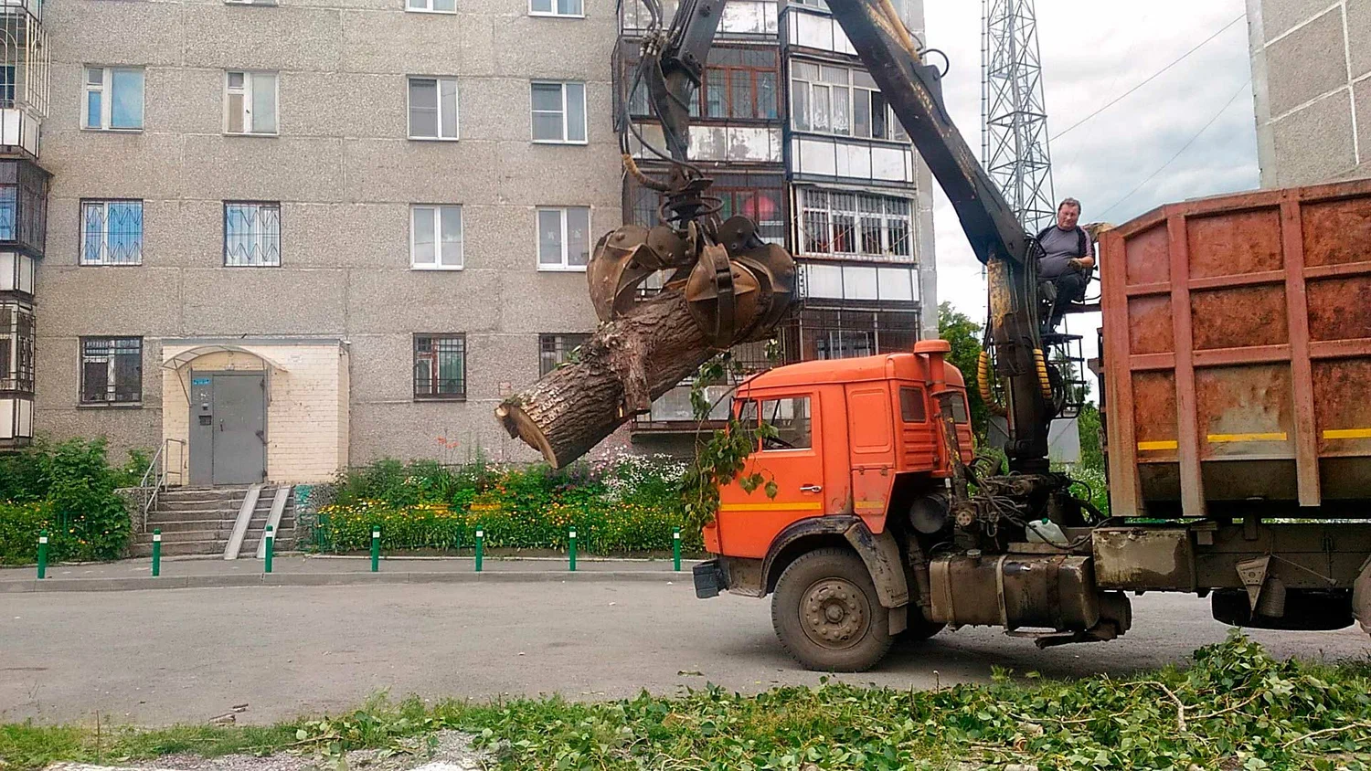 Вывоз спиленных веток и деревьев в Новошахтинске от ПроМусор: порубочные остатки, утилизация, цена от 3021 руб