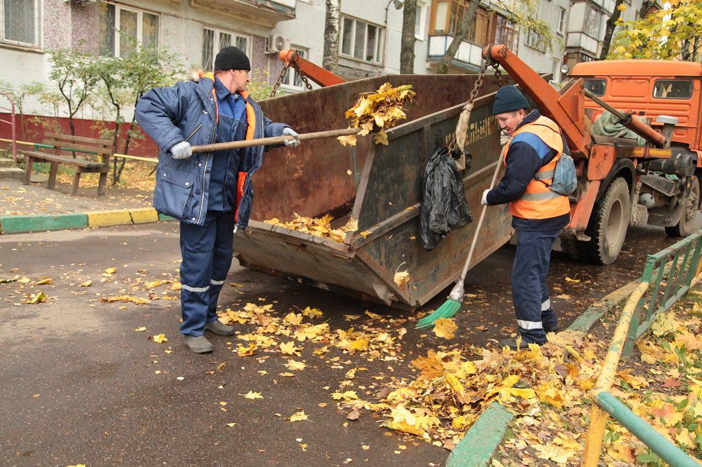 Вывоз опавшей листвы и растительного мусора в Новошахтинске от ПроМусор – цена от 4687 руб., быстрая уборка и утилизация